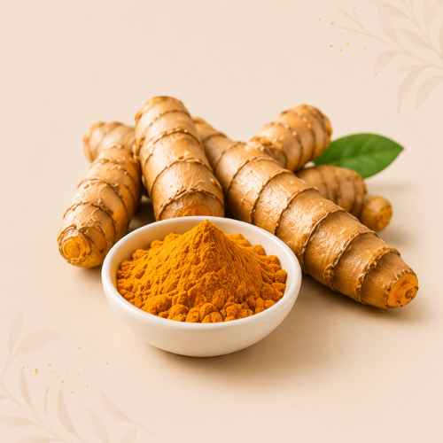 Turmeric Extract